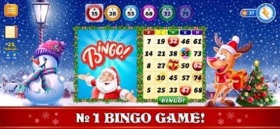 Bingo Christmas Holidays 2024 Image