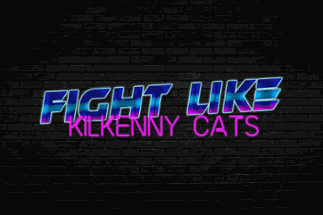 Fight Like Kilkenny Cats Image