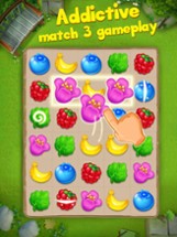Fruit Mania - Match 3 Puzzle Image