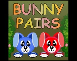 Bunny Pairs Image