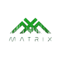 Matrix MetaVerse Concerts Image