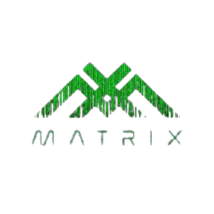 Matrix MetaVerse Concerts Game Cover