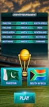 Play Live Cricket Game Image