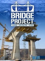 Bridge Project Image