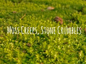 Moss Creeps, Stone Crumbles Image