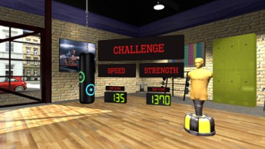 VR Boxing Workout Image