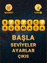 BILMECE BULMACA OYUNU Image