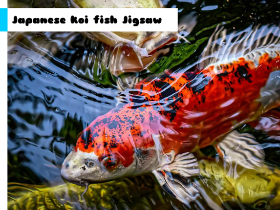 Japanese Koi Fish Jigsaw Game Cover