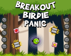 Breakout Birdie Panic Image