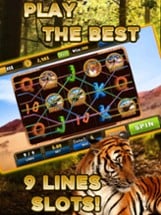 Wild Tiger Slots Machine Games Image