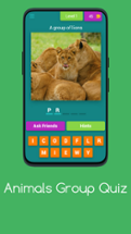 Animals Group Quiz Image