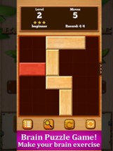 Block Move: Puzzle Game Image