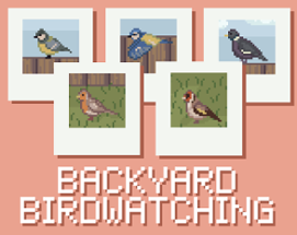 Backyard Birdwatching Image