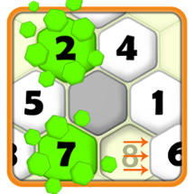 Hexa Puzzle Image