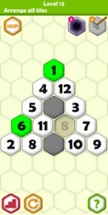 Hexa Puzzle Image