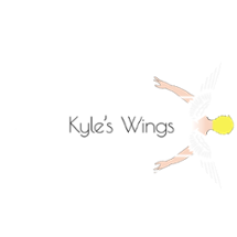 Kyle's Wings Image