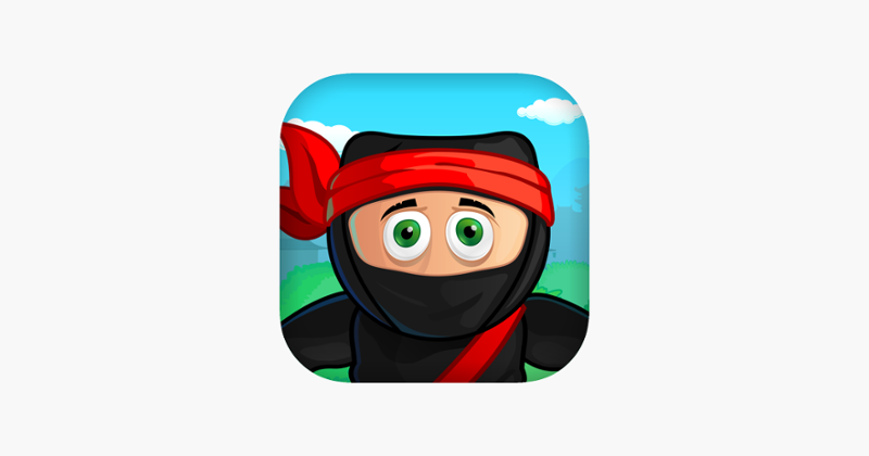 Ninja Crossing Hero Game Cover