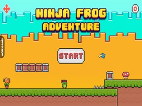 Ninja Frog Adventure Image