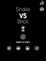 Snake VS Brick Image