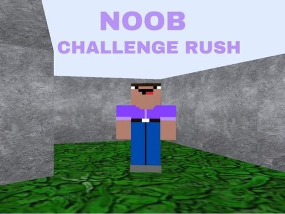 Noob Challenge Rush Game Cover