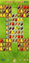 Fruit Match 3 Puzzle Image