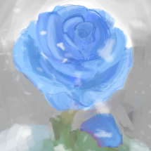 Winter Rose Image