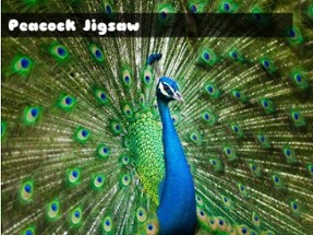 Peacock Jigsaw Image