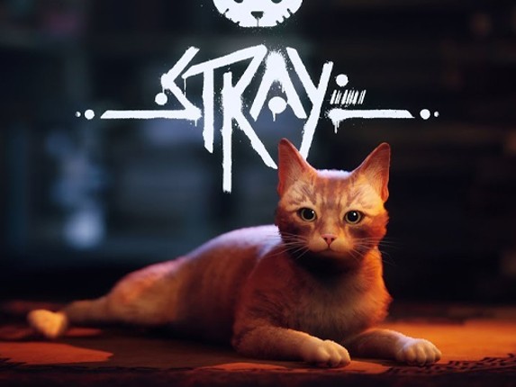 Stray Game Cover