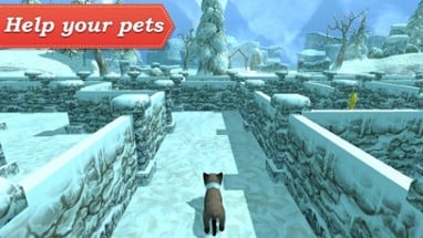 3D Pets in the Maze Image