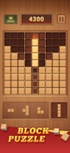 Wood Block 99 - Sudoku Puzzle Image