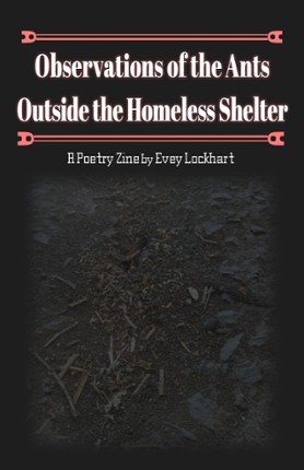 Observations of the Ants Outside the Homeless Shelter Game Cover