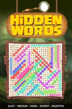 Hidden Words Puzzles : PC & XBOX Image