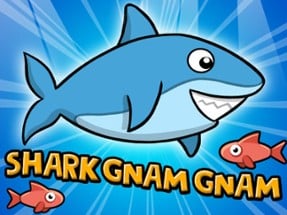 Shark Gnam Gnam Image
