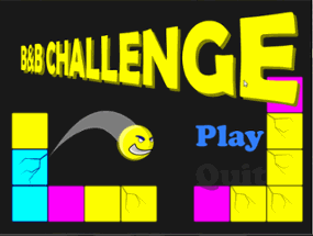 B&B challenge Image