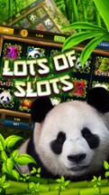 Bravo Panda Slot Machine – New Slot Machines games Image