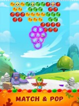 New Bubble Crush Bird Image