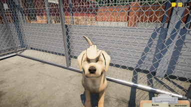 Animal Shelter Simulator Image