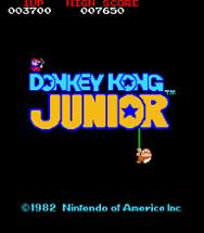 Donkey Kong Junior Image