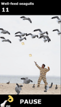 Seagulls_vs_bread_man Image