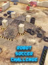 Robot Soccer Challenge Image