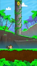 Ball Monkey Runner - Super Smash Run Image