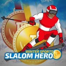 Slalom Hero Image