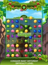 Fruit Farm: Match 3 Games Image