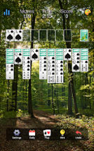 Spider Solitaire: Card Game Image