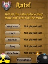 Rats! Image