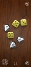 Dice Bag - 3D dice Image