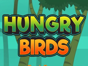 Hungry Bird Image