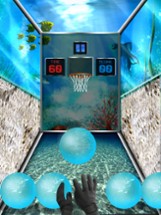 Basketball Shots Free Image