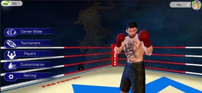 Boxing Star Fight: Hit Action Image