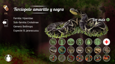 Serpientes Venenosas Paraguay/Venomous Snakes Paraguay Image